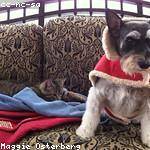 Cleta Bruen Profile Picture