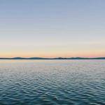 Susana Marks Profile Picture