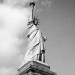 Foster Kutch Profile Picture