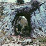 Cathryn Farrell Profile Picture