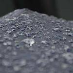 Monte Champlin Profile Picture