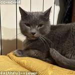 Adolfo Schuster Profile Picture