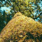 Heloise Kling Profile Picture