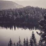 Kamron Abernathy Profile Picture