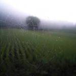 Sterling Roob Profile Picture