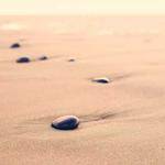 Marietta Kozey Profile Picture