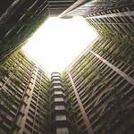 Kailee Stracke Profile Picture