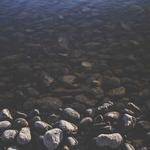 Robyn Kuphal Profile Picture