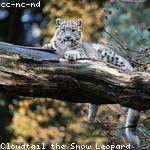 Dandre Gottlieb Profile Picture