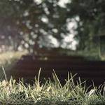 Everett Bins Profile Picture