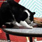 Nova Kohler Profile Picture