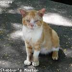 Coty Ratke Profile Picture