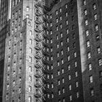 Tommie Pfeffer Profile Picture