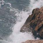 Eugenia Cummerata Profile Picture