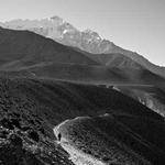 Toby Pollich Profile Picture