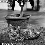 Hilario Parisian Profile Picture