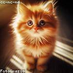 Flo Weissnat Profile Picture