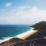 Lauretta Konopelski Profile Picture