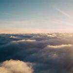 Name Dickinson Profile Picture