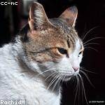 Antoinette Lehner Profile Picture