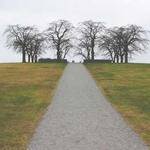 Sage Cronin Profile Picture