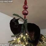 Noe Russel Profile Picture