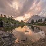 Flavie Herzog Profile Picture