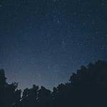 Santos Goodwin Profile Picture