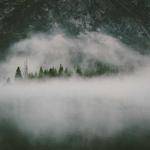 Gudrun Mertz Profile Picture