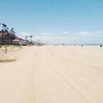 Golda Labadie Profile Picture