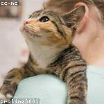 Makayla Mills Profile Picture