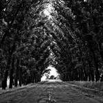 Jaydon Brekke Profile Picture