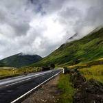 Yasmine White Profile Picture