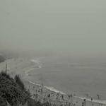 Clarissa Crist Profile Picture