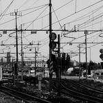 Edna Beer Profile Picture