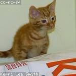 Emmett Anderson Profile Picture