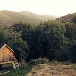 Christian Paucek Profile Picture