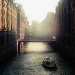 Nat Bergstrom Profile Picture