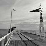 Era Koch Profile Picture