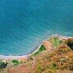 Ayden Olson Profile Picture