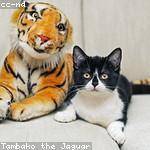 Vaughn Roob Profile Picture