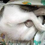 Charity Lebsack Profile Picture