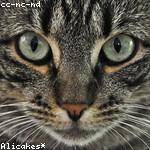 Rodolfo Runte Profile Picture