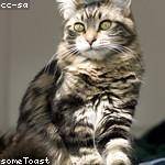 Dax Rodriguez Profile Picture