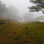 Deondre Gorczany Profile Picture