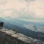 Jade Balistreri Profile Picture