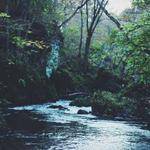 Unique Nolan Profile Picture