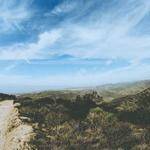 Letha Swaniawski Profile Picture