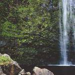 Ed Mante Profile Picture