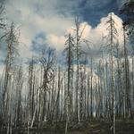 Darrell Corwin Profile Picture